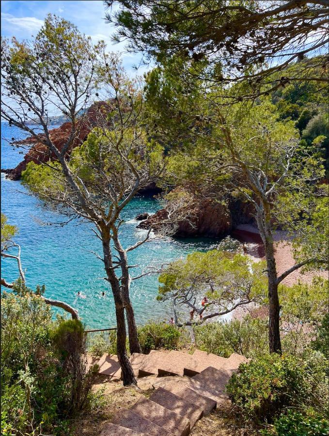 Les Cactus Frejus Plage Exterior foto