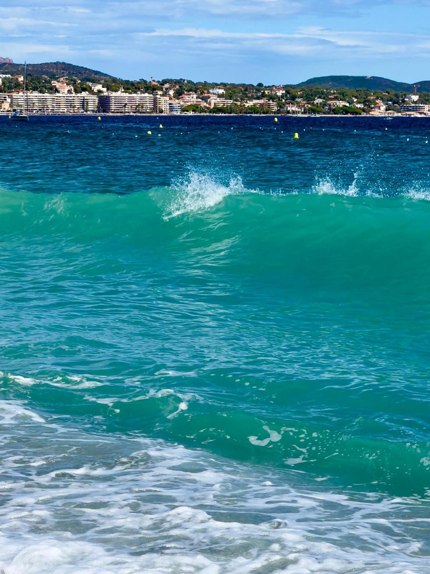 Les Cactus Frejus Plage Exterior foto